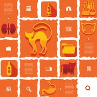 veterinary flat infographic N46
