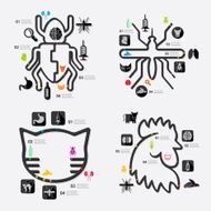 veterinary infographic N30