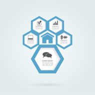 Infographic honeycomb elements with icons N2
