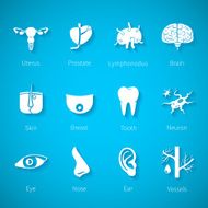Vector icon set of human organs in flat style N2