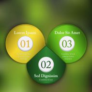 Abstract options template
