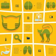 veterinary flat infographic N48