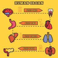lines style human organs set icons concept vector illustration design