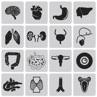 Vector Black icons of internal human organs Flat design set1