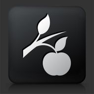 Black Square Button with Growing Apple