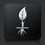 Black Square Button with Growing Plant N5