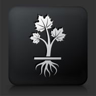Black Square Button with Growing Plant N6