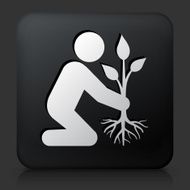 Black Square Button with Planting Tree Icon