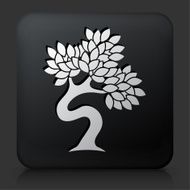 Black Square Button with Tree Icon N11
