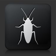 Black Square Button with Cockroach Icon