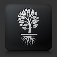 Black Square Button with Growing Tree