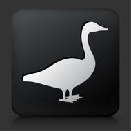 Black Square Button with Goose