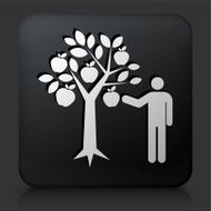 Black Square Button with Apple Picking Icon