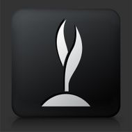 Black Square Button with Tree Growing Icon