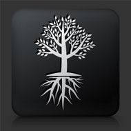 Black Square Button with Tree Icon N13