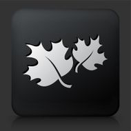 Black Square Button with Fall Leaves N2