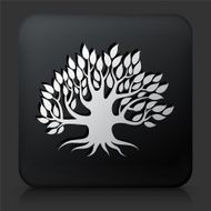 Black Square Button with Tree Icon N15