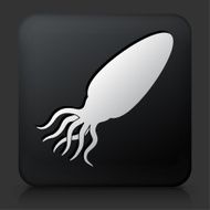 Black Square Button with Calamari Icon