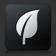 Black Square Button with Leaf Icon N14