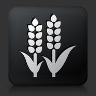 Black Square Button with Wheat Icon
