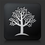 Black Square Button with Tree Icon N16