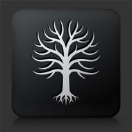 Black Square Button with Tree Icon N17