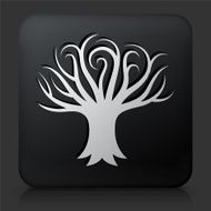 Black Square Button with Tree Icon N18