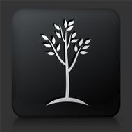 Black Square Button with Tree Icon N19