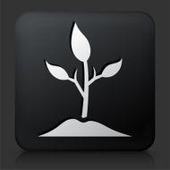 Black Square Button with Plant
