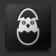 Black Square Button with Hatching Bird N2