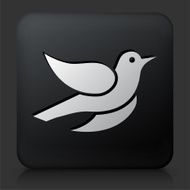 Black Square Button with Bird Icon N8