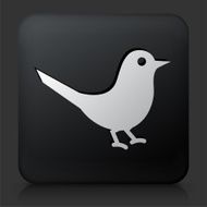 Black Square Button with Bird Icon N10