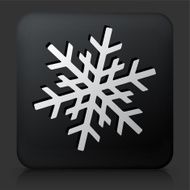 Black Square Button with Snowflake Icon