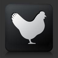 Black Square Button with Chicken