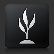 Black Square Button with Growing tree Icon N4