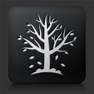 Black Square Button with Tree Icon N20