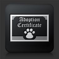Black Square Button with Adoption Papers N2