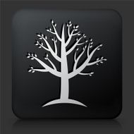 Black Square Button with Tree Icon N21