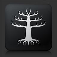 Black Square Button with Tree Icon N22