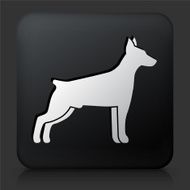 Black Square Button with Dog Silhouette