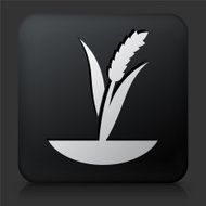 Black Square Button with Grain