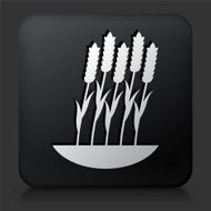 Black Square Button with Grain N2