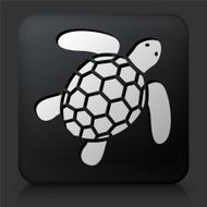 Black Square Button with SeaTurtle
