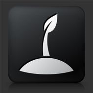 Black Square Button with Sprouting Plant Icon N2