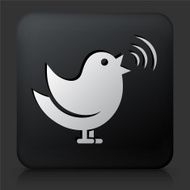 Black Square Button with Singing Bird