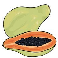 Vector Cartoon Papaya