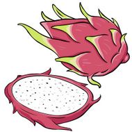 Vector Cartoon Dragon Fruit