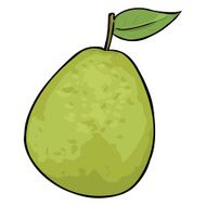 Vector Cartoon Guava
