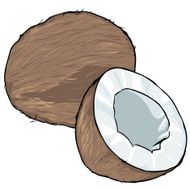 Vector Cartoon Coconut