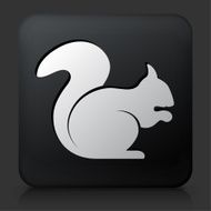 Black Square Button with Squirrel N2